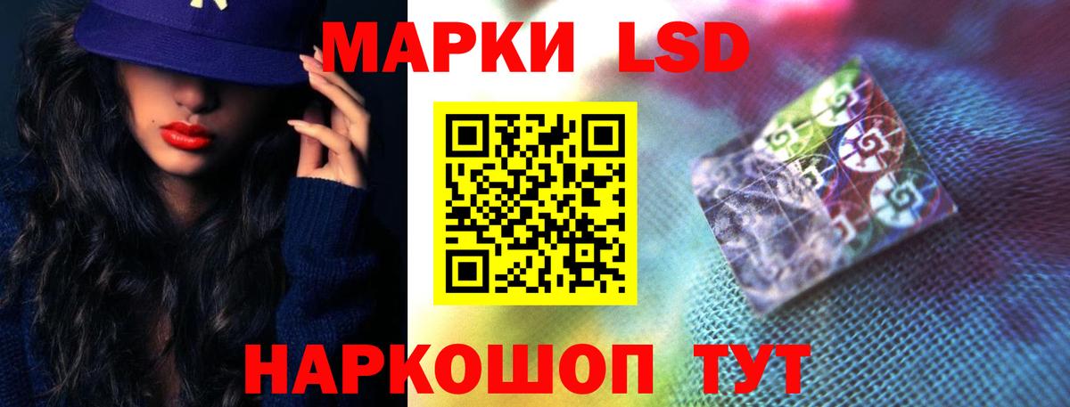 Новозыбков  LSD-25 экстази ecstasy  Вход с VPN  LSD-25 экстази ecstasy 