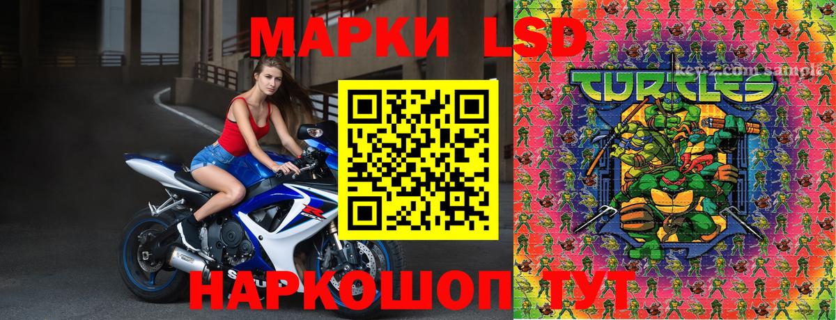 где купить наркоту  Марки NBOMe 1,5мг  Вход с VPN  Марки NBOMe 1,5мг  Новозыбков 