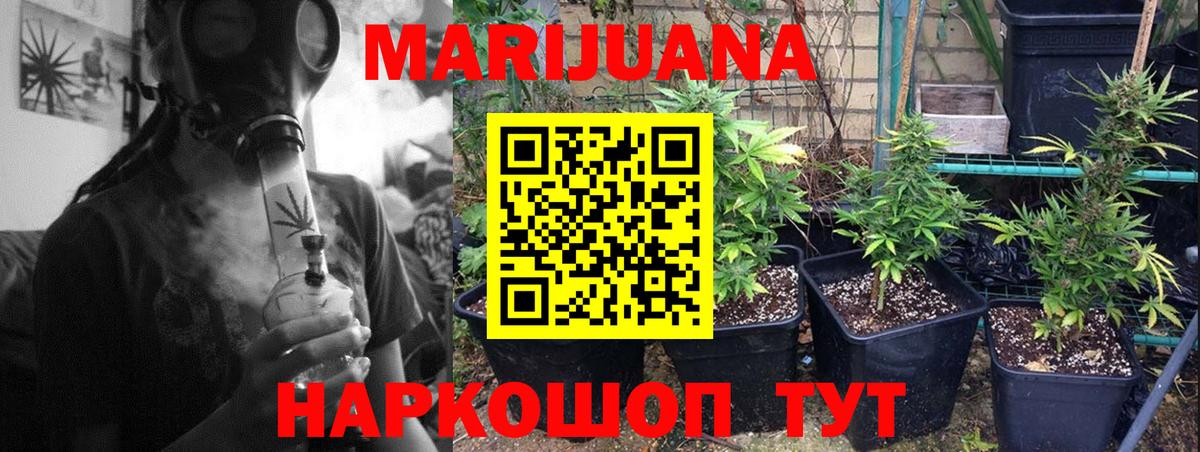 Новозыбков  Канабис план  Вход с VPN  Конопля THC 21%  Бошки марихуана Amnesia 