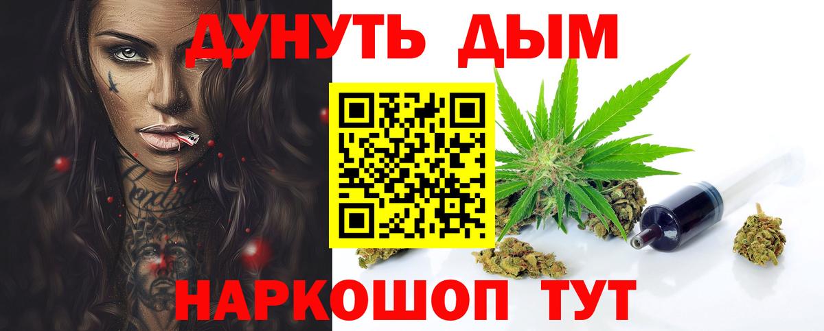Канабис планчик Новозыбков